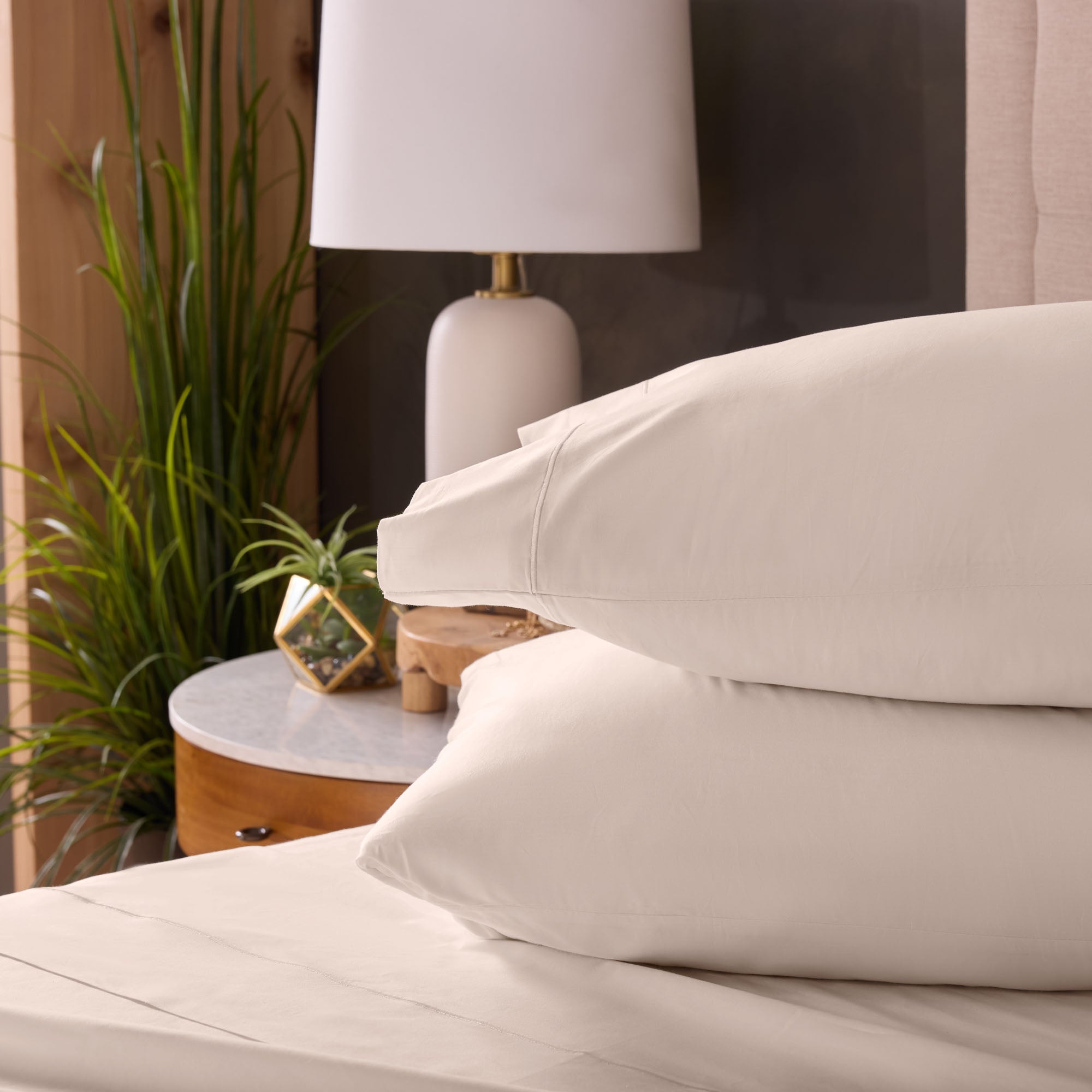 Classic Cotton Sheet Set