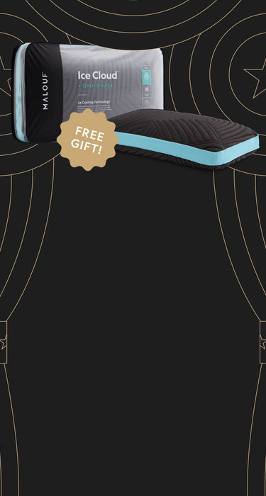 Ice Cloud Pillow Free Gift