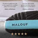 Ice Cloud® Pillow