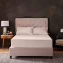 Classic Cotton Sheet Set