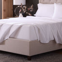 Classic Cotton Sheet Set